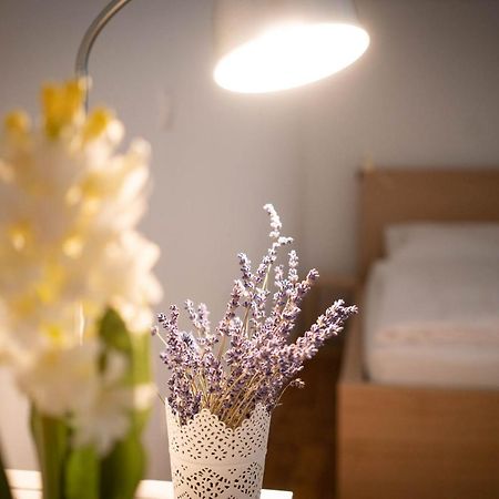Free Parking! Linden Apartment, Ac, Smart Tv, Wifi Budapest Exterior photo